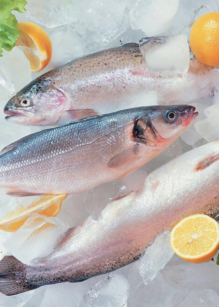 电商与物流行业